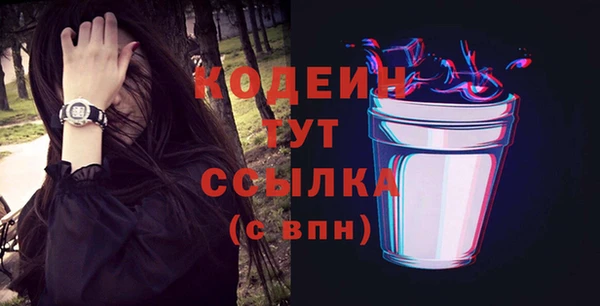 индика Саяногорск