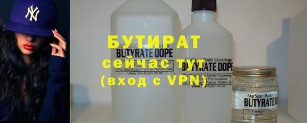 индика Саяногорск