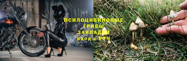 прущая мука Горняк