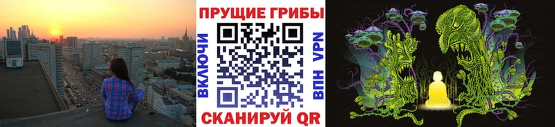 где найти   гидра tor  Псилоцибиновые грибы Magic Shrooms  Волгореченск 